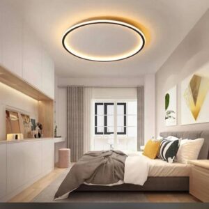 Modern LED Ceiling Light